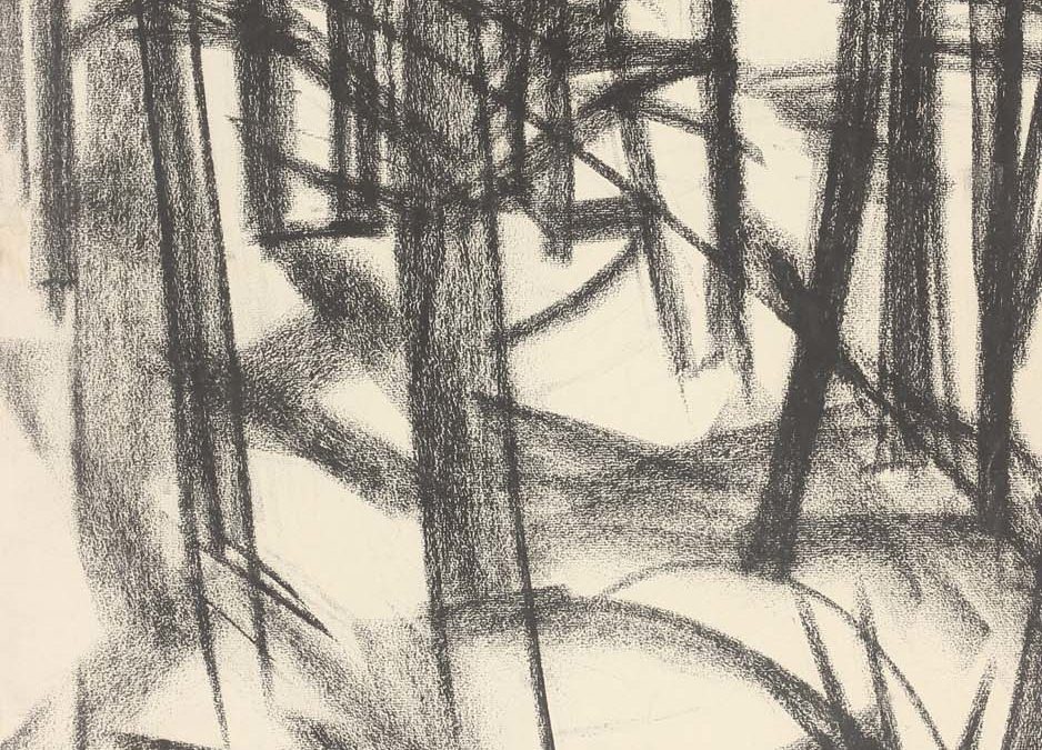 Forest of Dean 4
