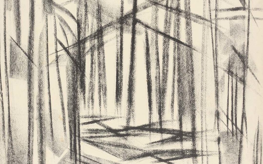Forest of Dean 5