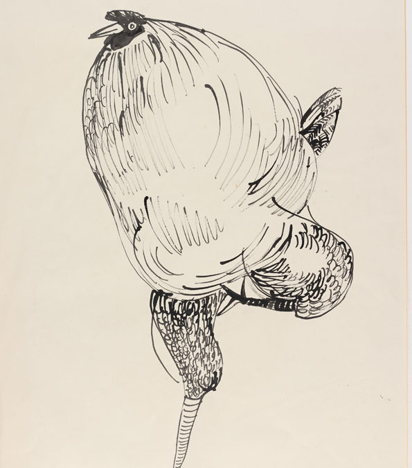 Cockerel